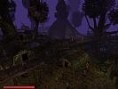 /album/fotogaleria-fotogaleria/a20525-jpg/