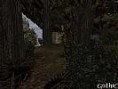/album/fotogaleria-fotogaleria/a20554-jpg/
